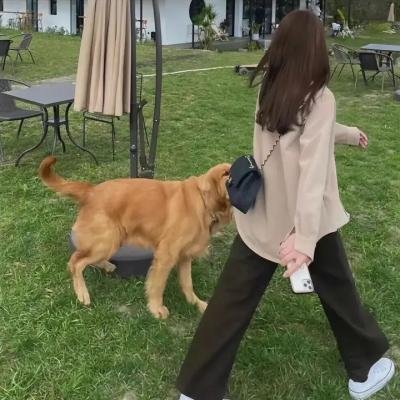 转运姐妹花
